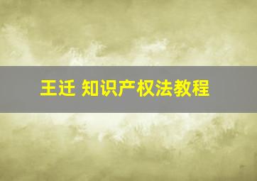 王迁 知识产权法教程